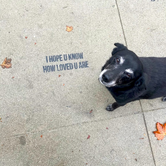 Meet your Posher, R.j. - Picture 1 of 1